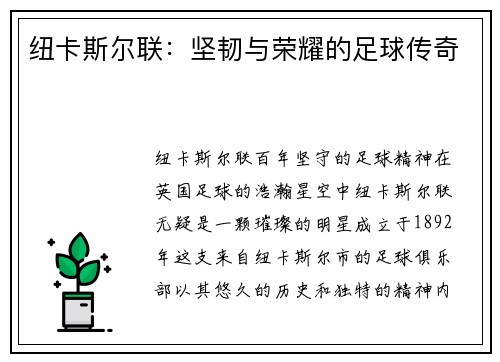 纽卡斯尔联：坚韧与荣耀的足球传奇