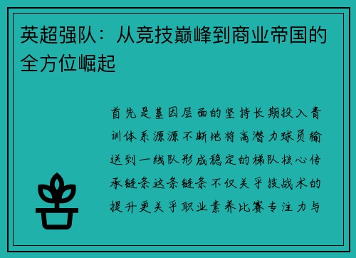 英超强队：从竞技巅峰到商业帝国的全方位崛起